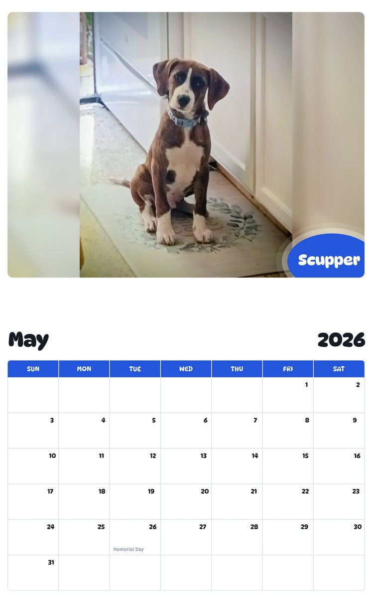 2026 - 2027 Scupper - Pawidols Pet Calendar