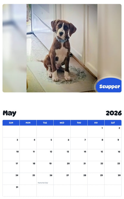2026 - 2027 Scupper - Pawidols Pet Calendar