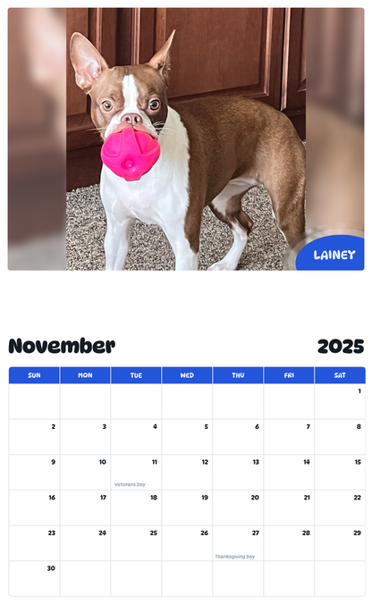 July 2025 - June 2026 Lainey - Pawidols Pet Calendar