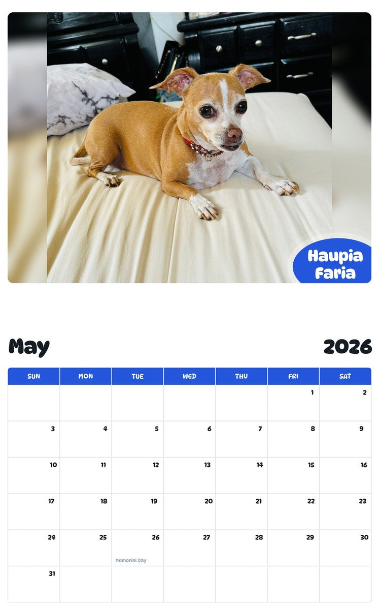 2026 - 2027 Haupia Faria - Pawidols Pet Calendar