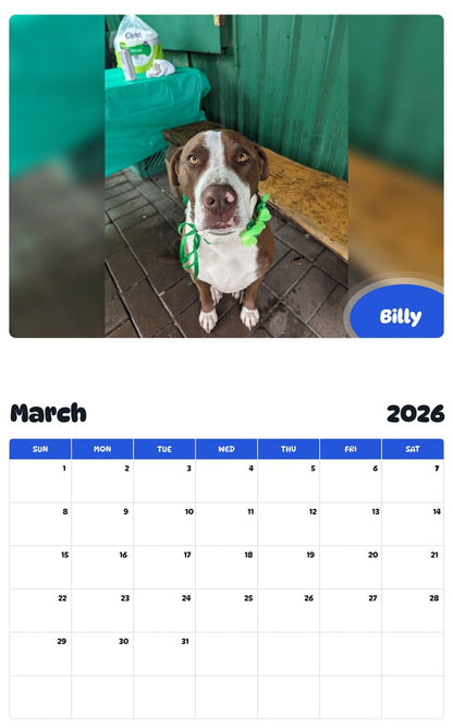 November 2025 - October 2026 Billy - Pawidols Pet Calendar