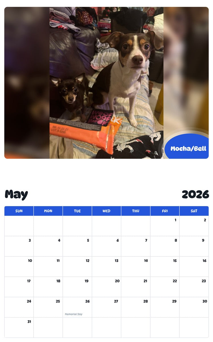 2026 - 2027 Mocha/Bell - Pawidols Pet Calendar