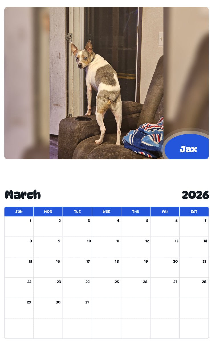 November 2025 - October 2026 Jax - Pawidols Pet Calendar