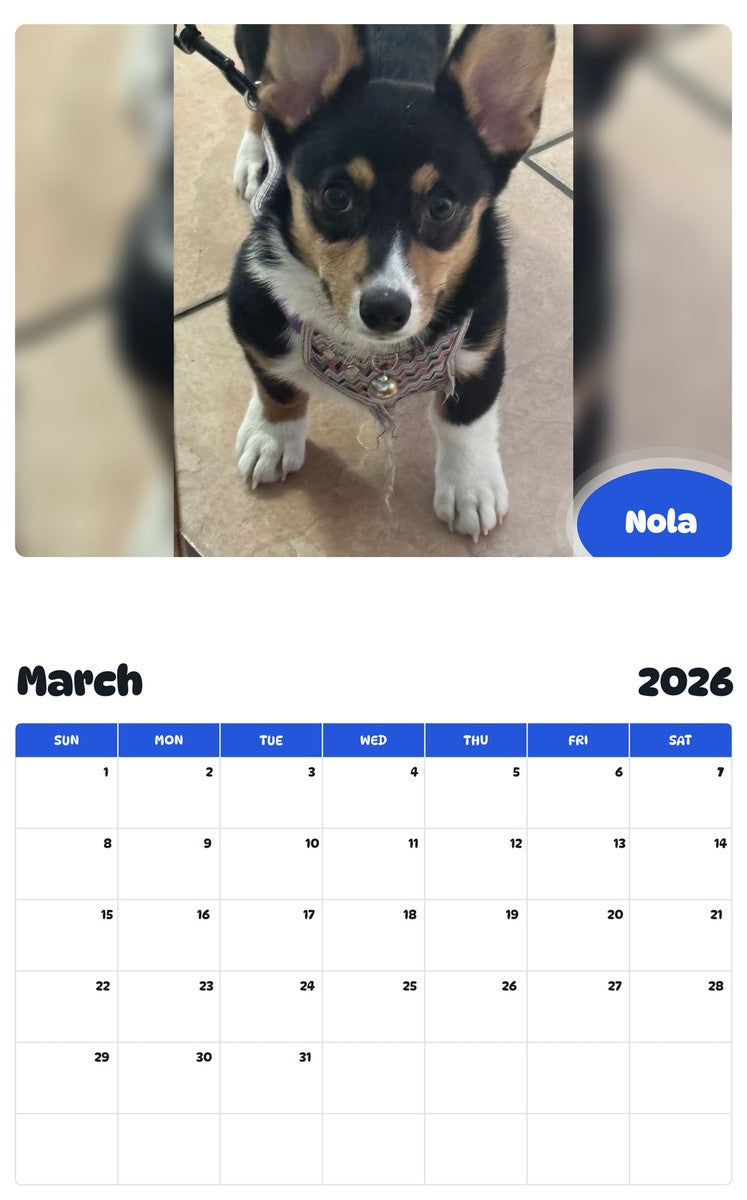 November 2025 - October 2026 Nola - Pawidols Pet Calendar