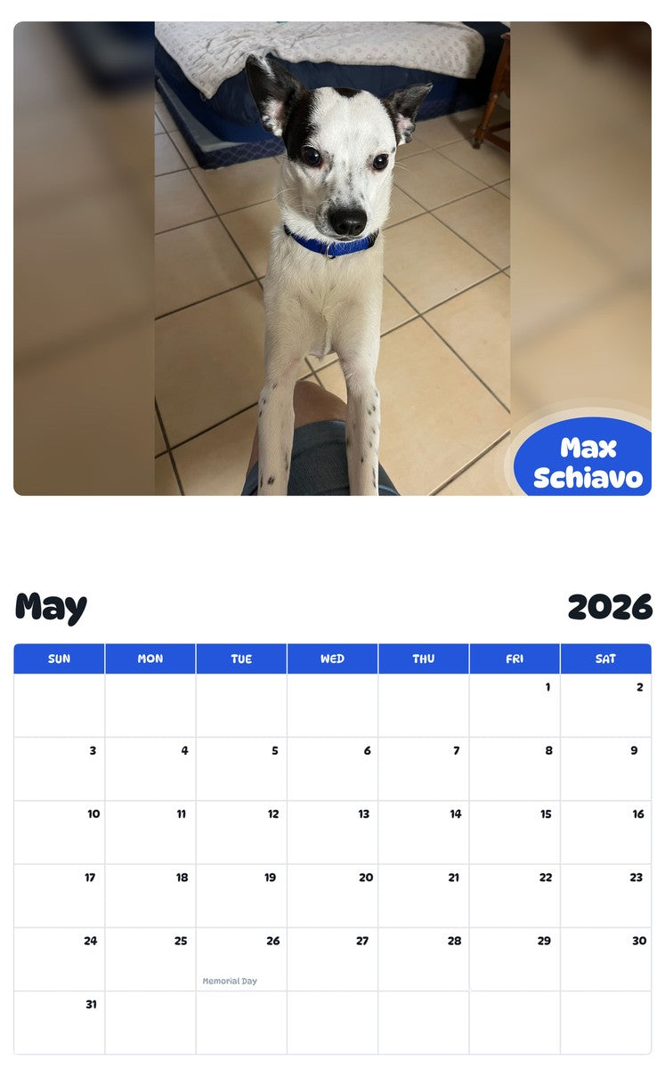 2026 - 2027 Max Schiavo - Pawidols Pet Calendar