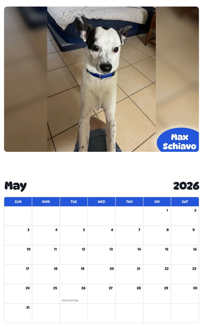 2026 - 2027 Max Schiavo - Pawidols Pet Calendar