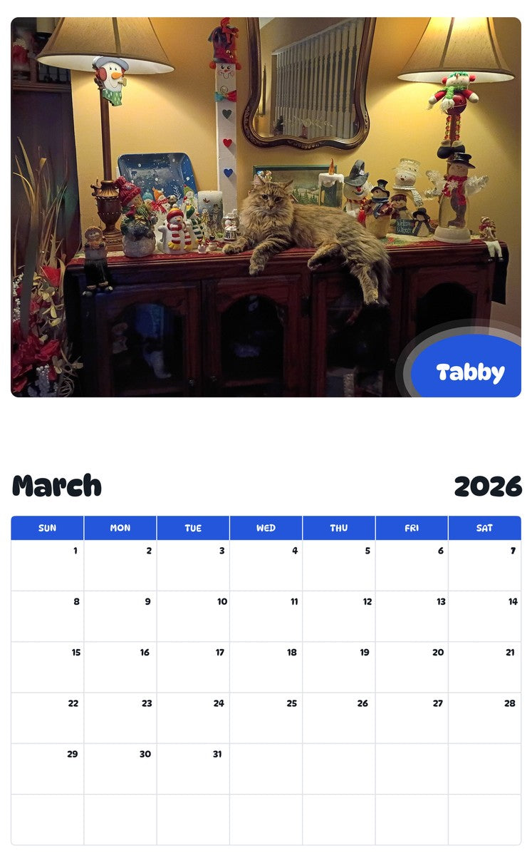November 2025 - October 2026 Tabby - Pawidols Pet Calendar