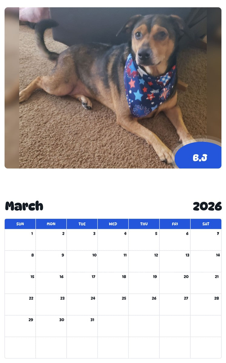 November 2025 - October 2026 B.J - Pawidols Pet Calendar