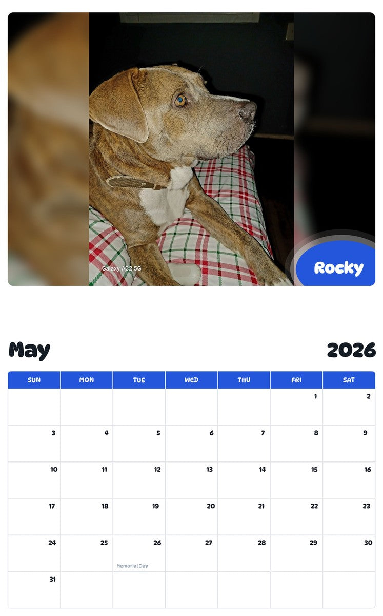2026 - 2027 Rocky - Pawidols Pet Calendar