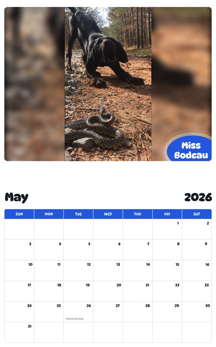 2026 - 2027 Miss Bodcau - Pawidols Pet Calendar