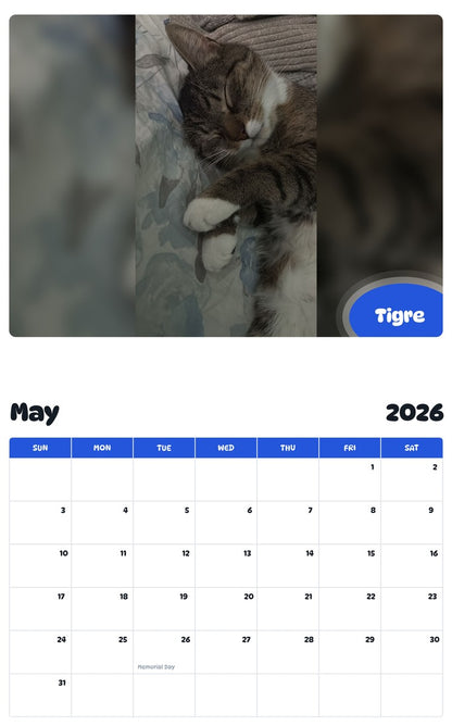 2026 - 2027 Tigre - Pawidols Pet Calendar