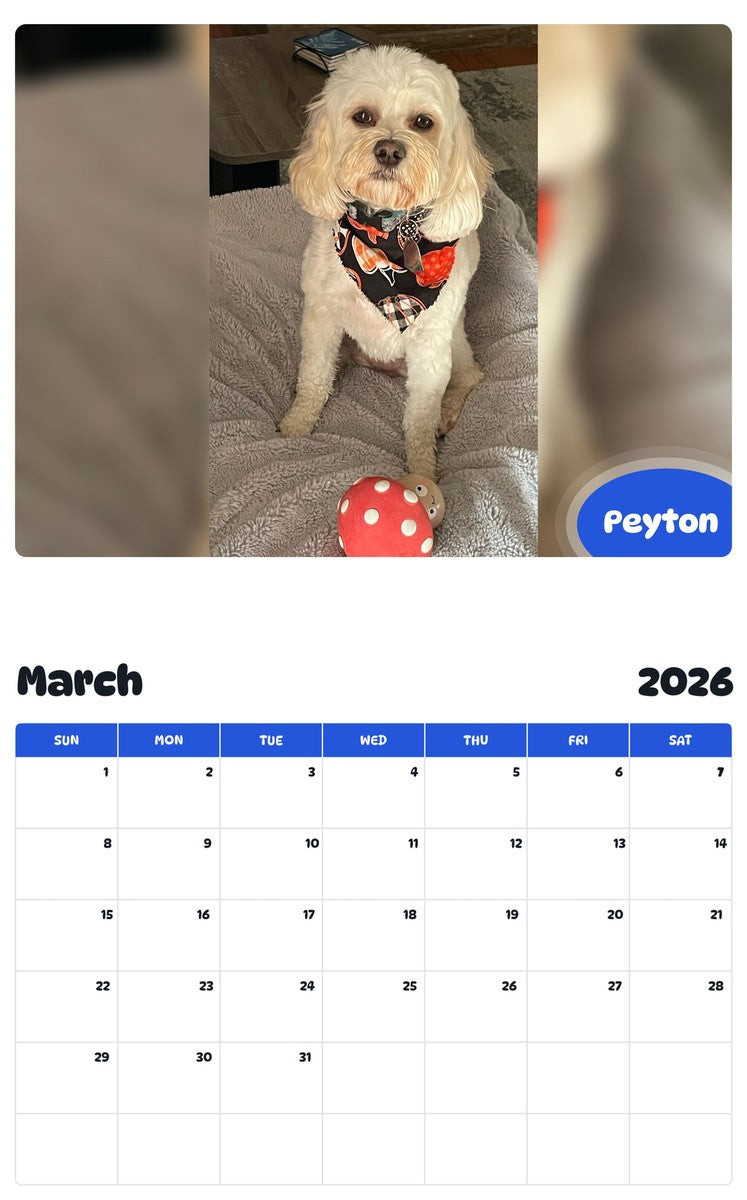 November 2025 - October 2026 Peyton - Pawidols Pet Calendar