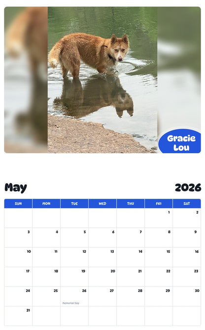 2026 - 2027 Gracie Lou - Pawidols Pet Calendar