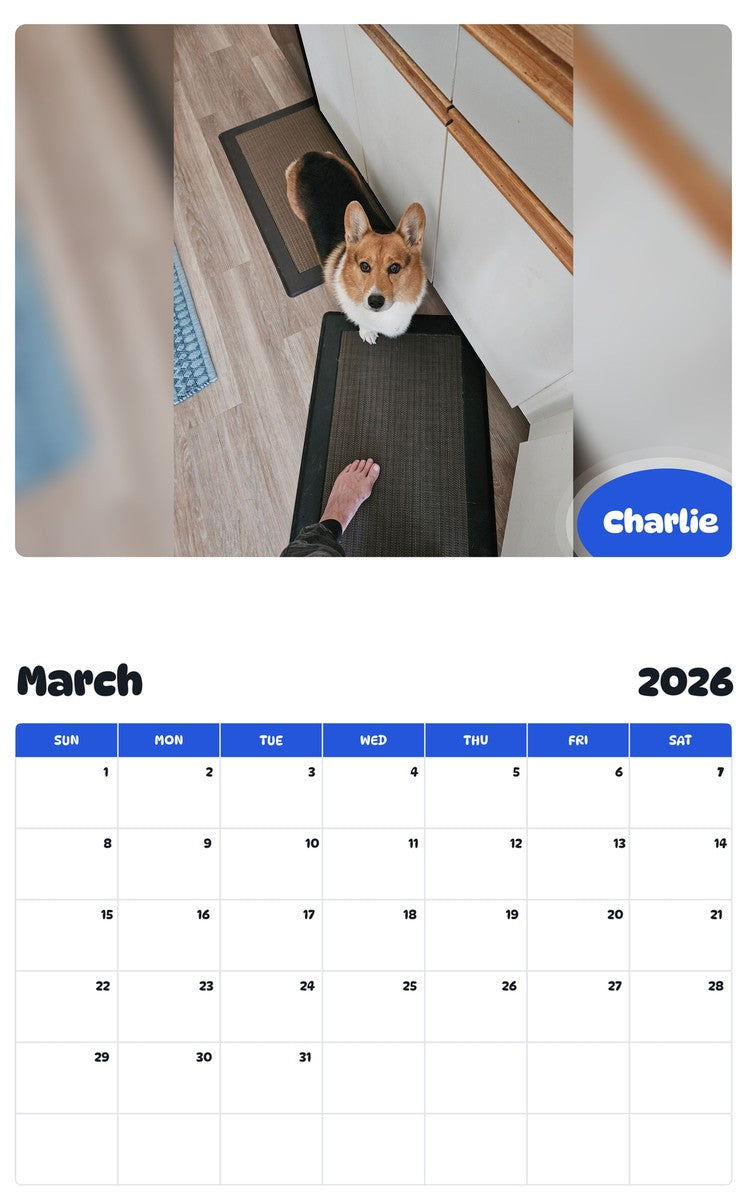 November 2025 - October 2026 Charlie - Pawidols Pet Calendar