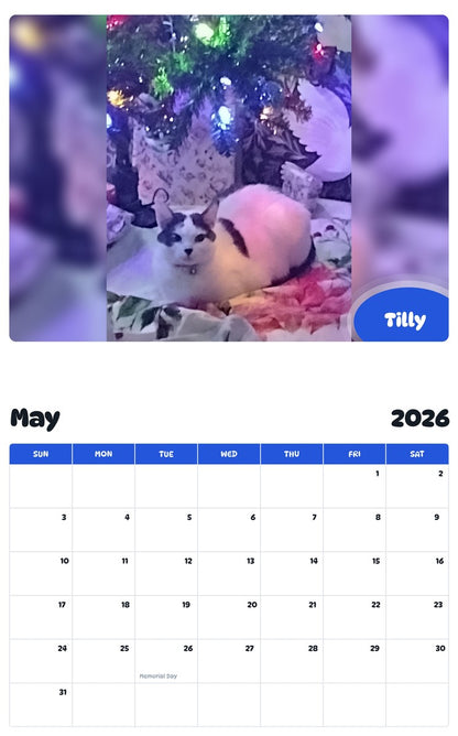 2026 - 2027 Tilly - Pawidols Pet Calendar