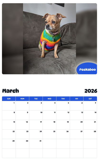 November 2025 - October 2026 Peekaboo - Pawidols Pet Calendar