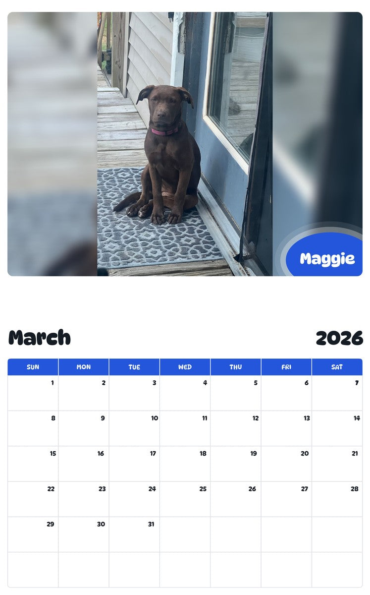 November 2025 - October 2026 Maggie - Pawidols Pet Calendar
