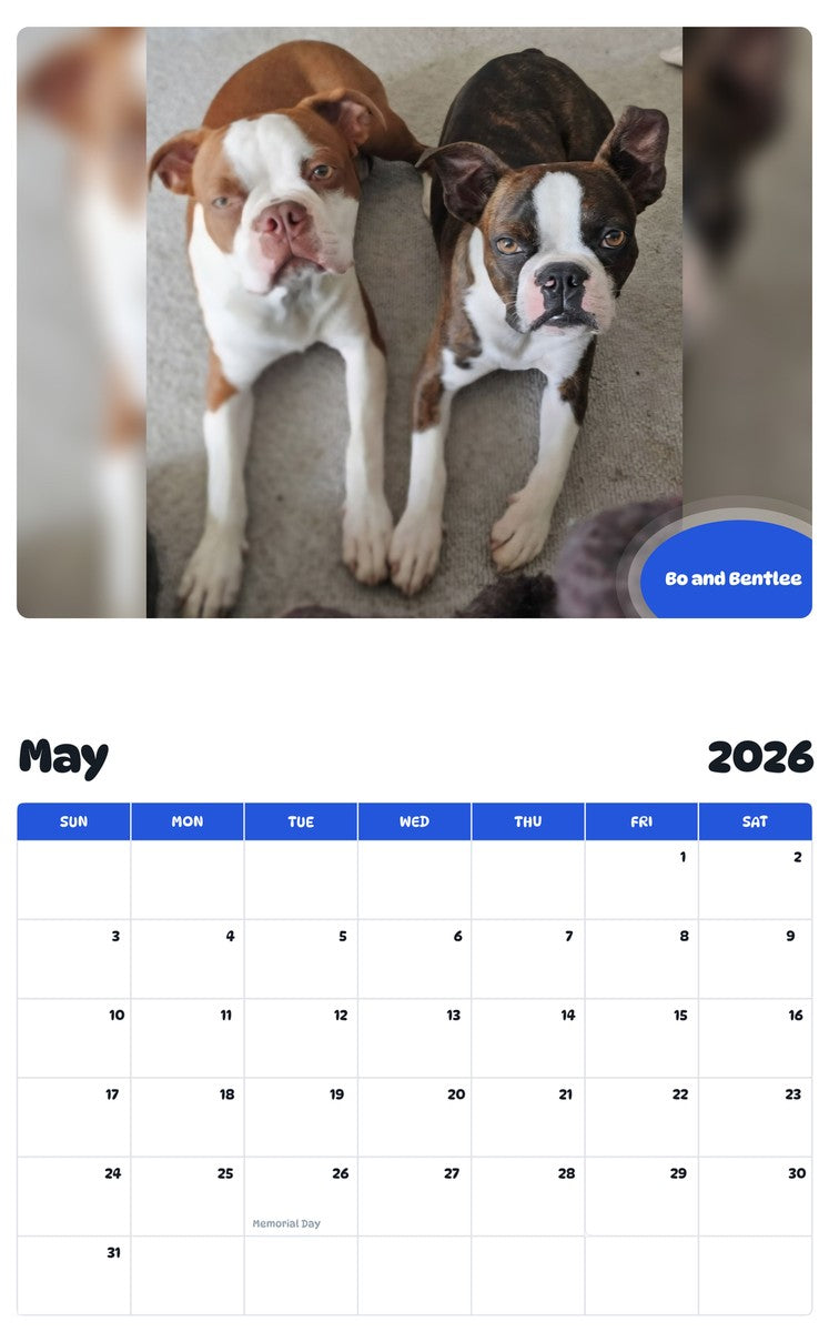 2026 - 2027 Bo and Bentlee - Pawidols Pet Calendar