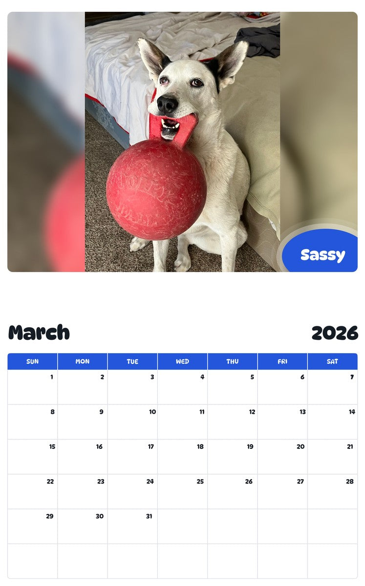 November 2025 - October 2026 Sassy - Pawidols Pet Calendar