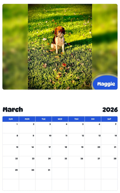 November 2025 - October 2026 Maggie - Pawidols Pet Calendar