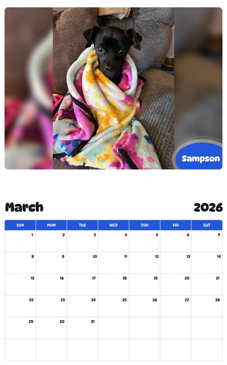 November 2025 - October 2026 Sampson - Pawidols Pet Calendar