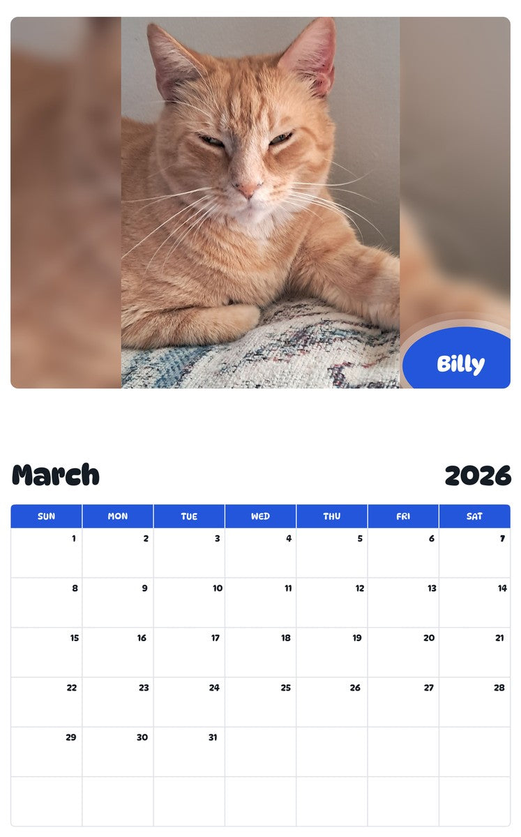 November 2025 - October 2026 Billy - Pawidols Pet Calendar