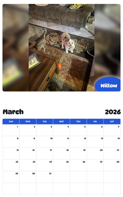 November 2025 - October 2026 Willow - Pawidols Pet Calendar