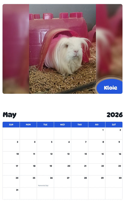 2026 - 2027 Kloie - Pawidols Pet Calendar