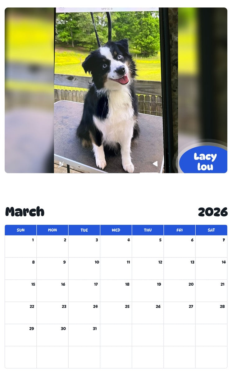 November 2025 - October 2026 Lacy lou - Pawidols Pet Calendar