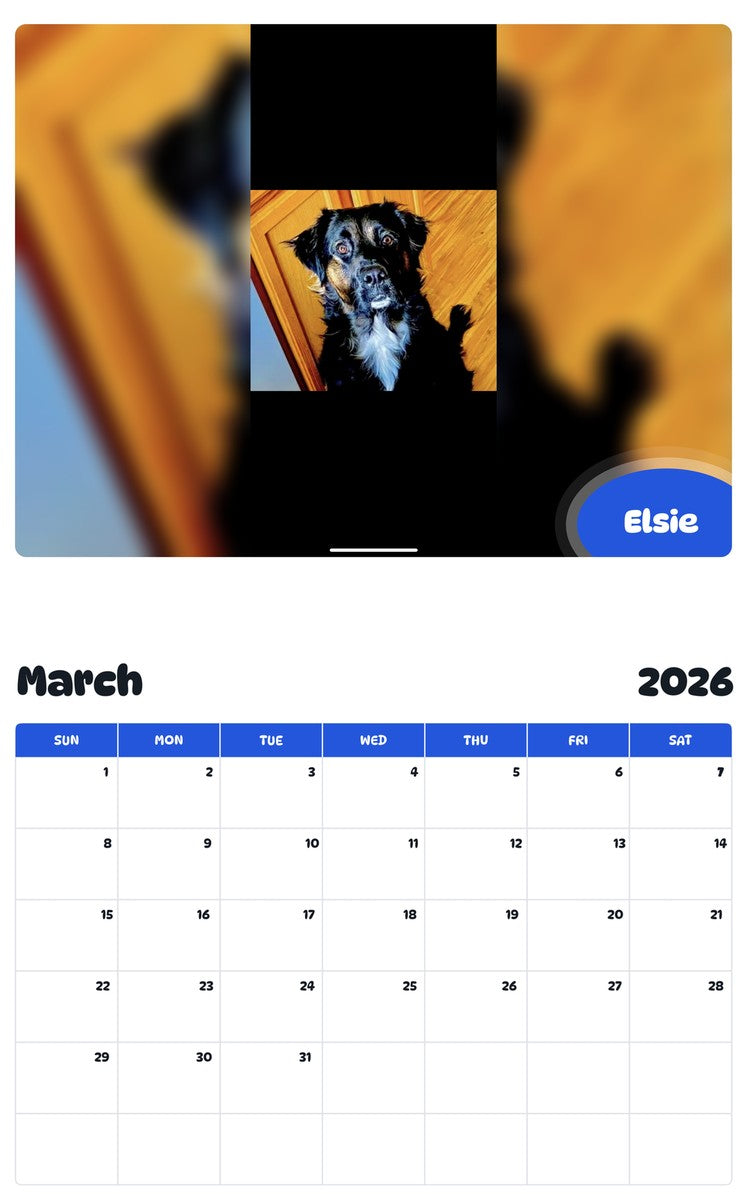 November 2025 - October 2026 Elsie - Pawidols Pet Calendar