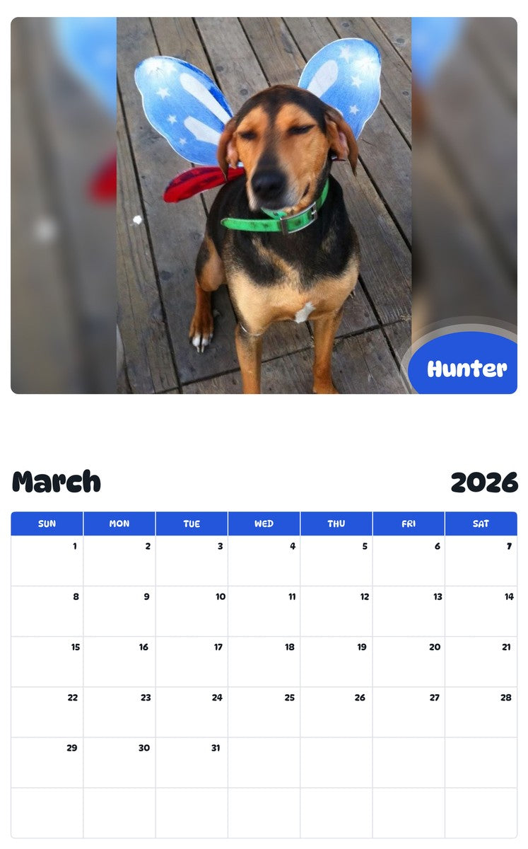November 2025 - October 2026 Hunter - Pawidols Pet Calendar