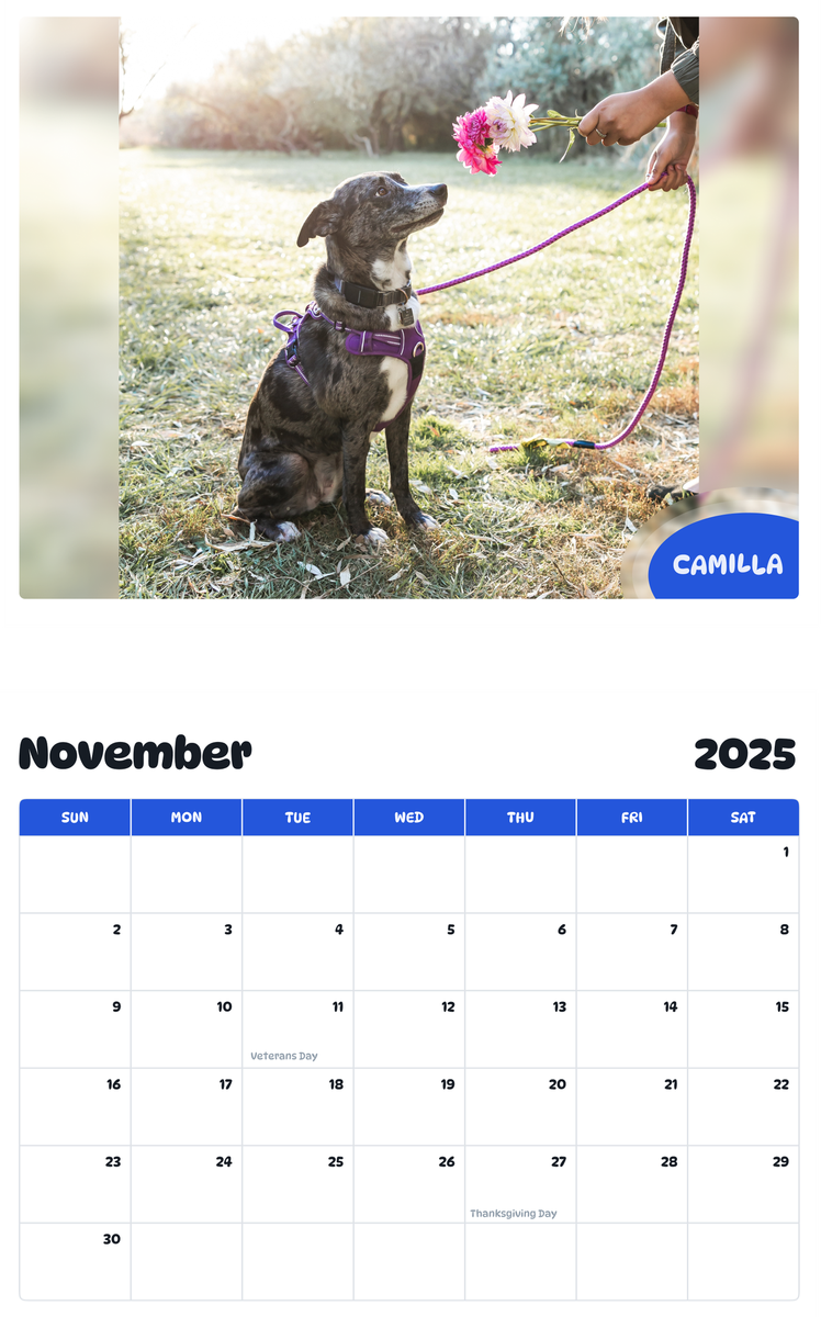 July 2025 - June 2026 Camilla - Pawidols Pet Calendar