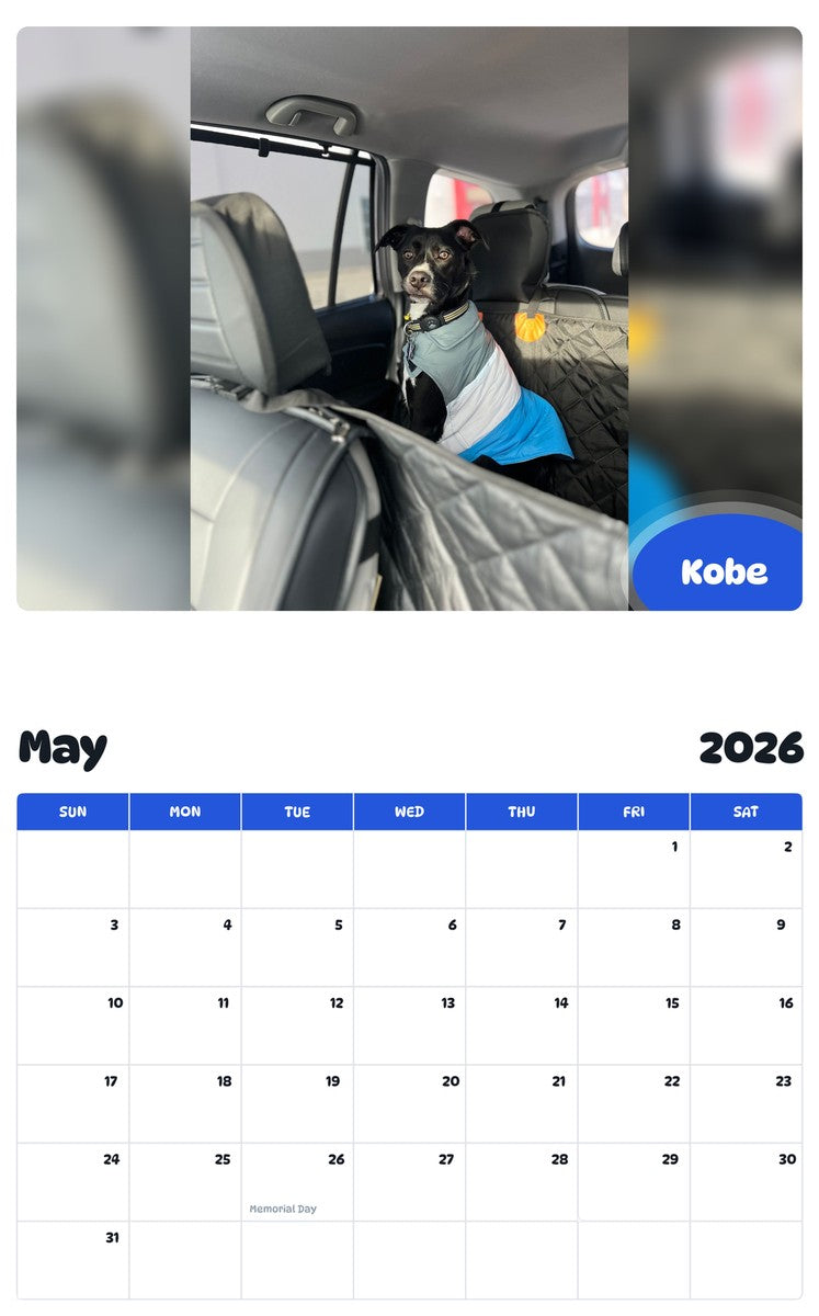 2026 - 2027 Kobe - Pawidols Pet Calendar