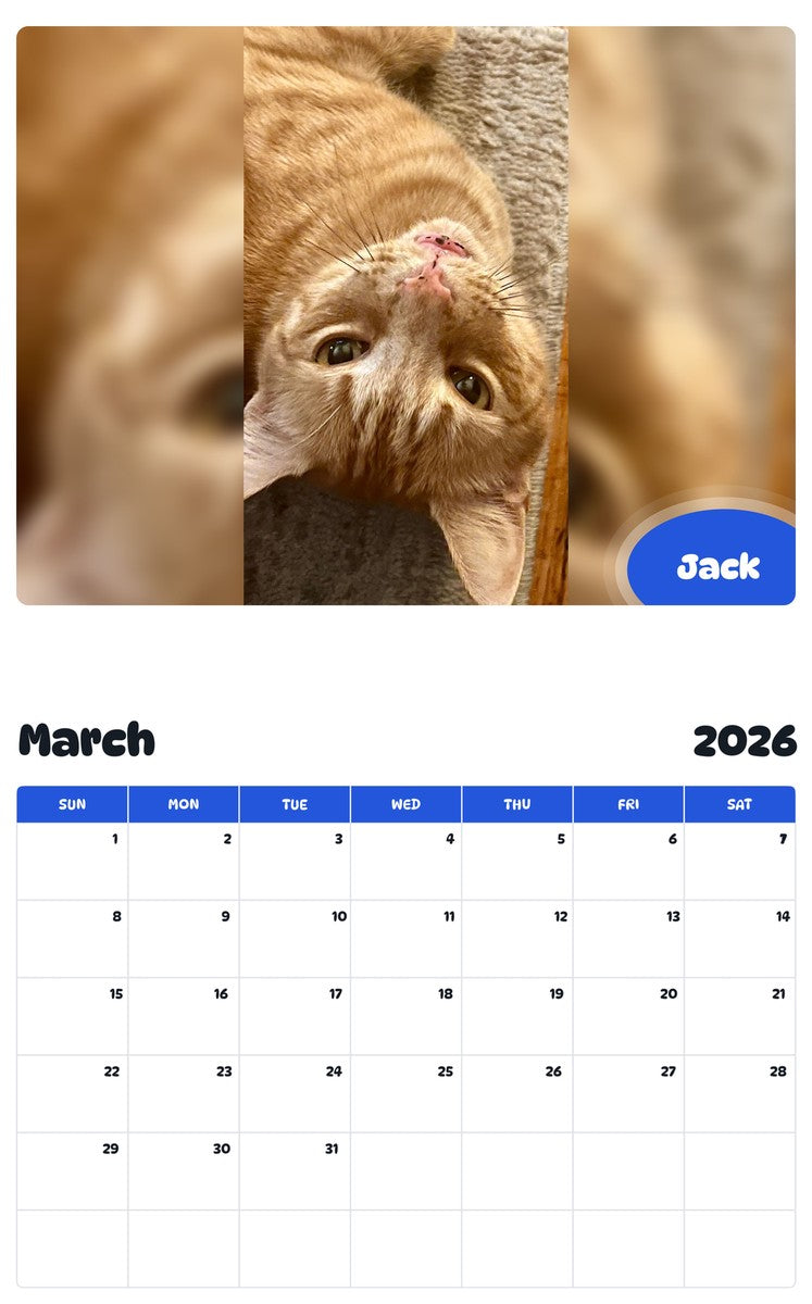 November 2025 - October 2026 Jack - Pawidols Pet Calendar
