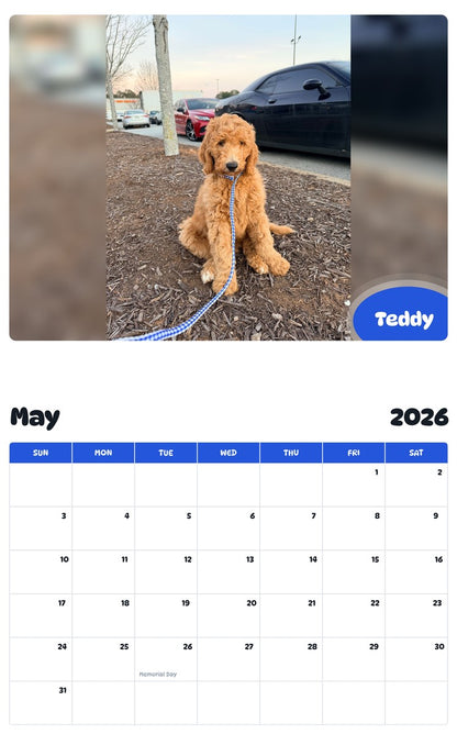 2026 - 2027 Teddy - Pawidols Pet Calendar