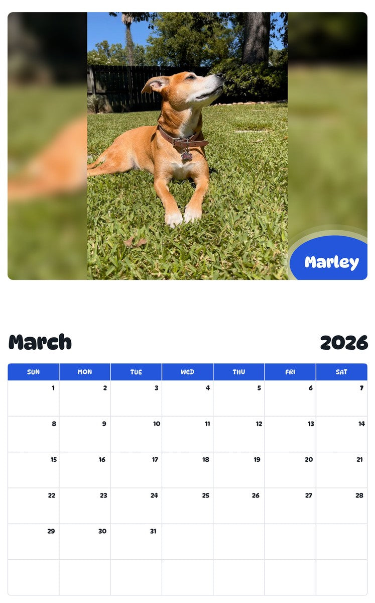 November 2025 - October 2026 Marley - Pawidols Pet Calendar