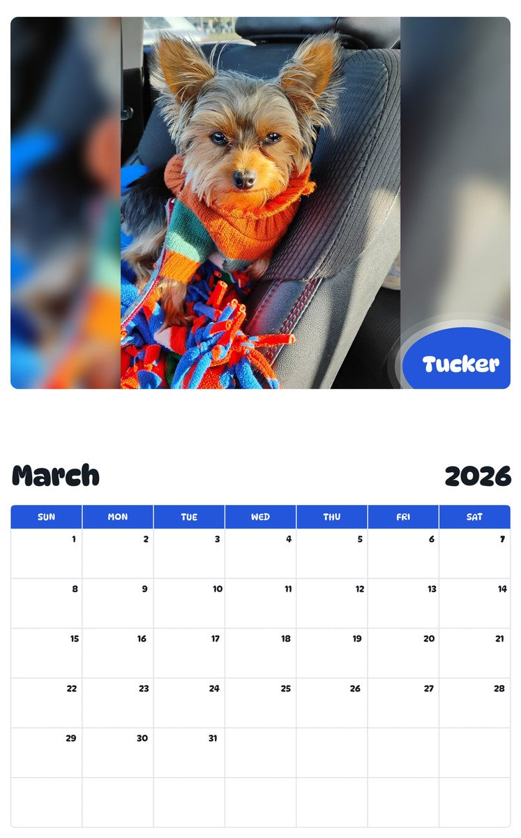 November 2025 - October 2026 Tucker - Pawidols Pet Calendar