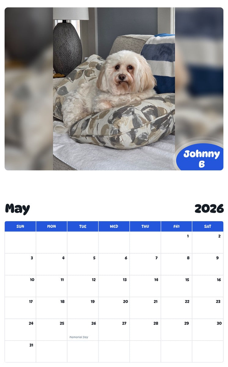 2026 - 2027 Johnny B - Pawidols Pet Calendar
