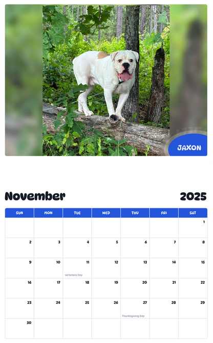 July 2025 - June 2026 Jaxon - Pawidols Pet Calendar