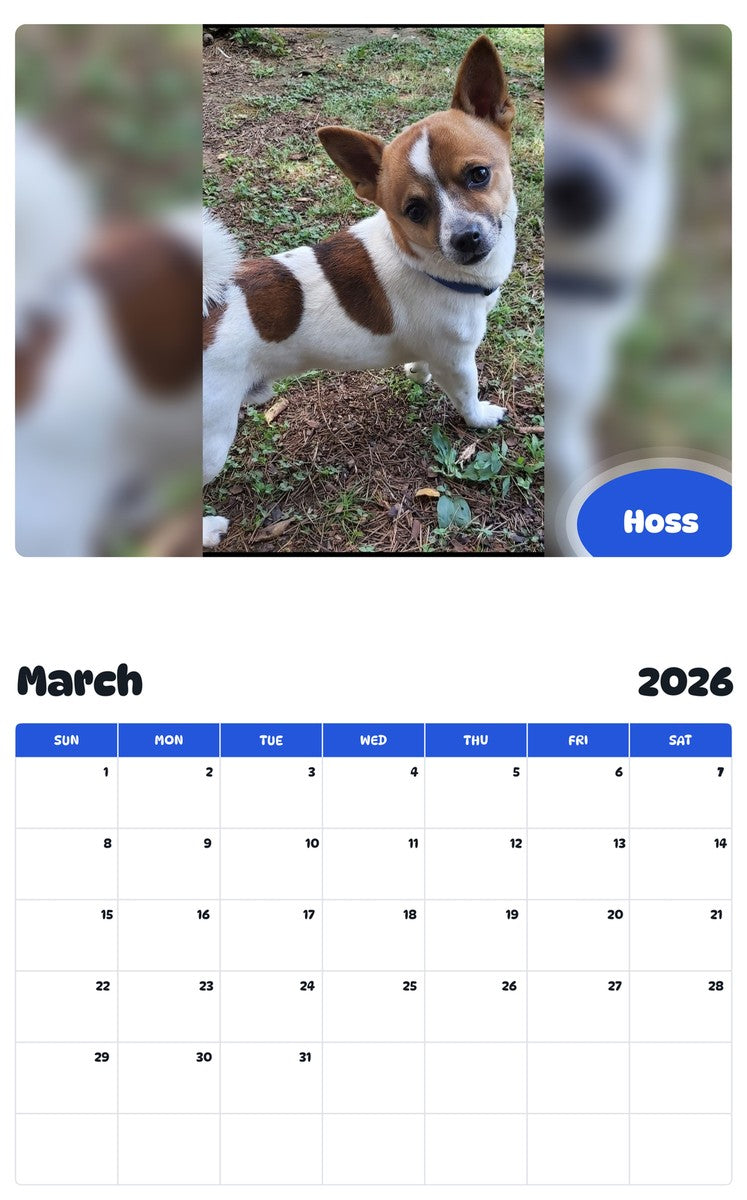 November 2025 - October 2026 Hoss - Pawidols Pet Calendar