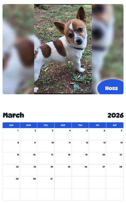 November 2025 - October 2026 Hoss - Pawidols Pet Calendar