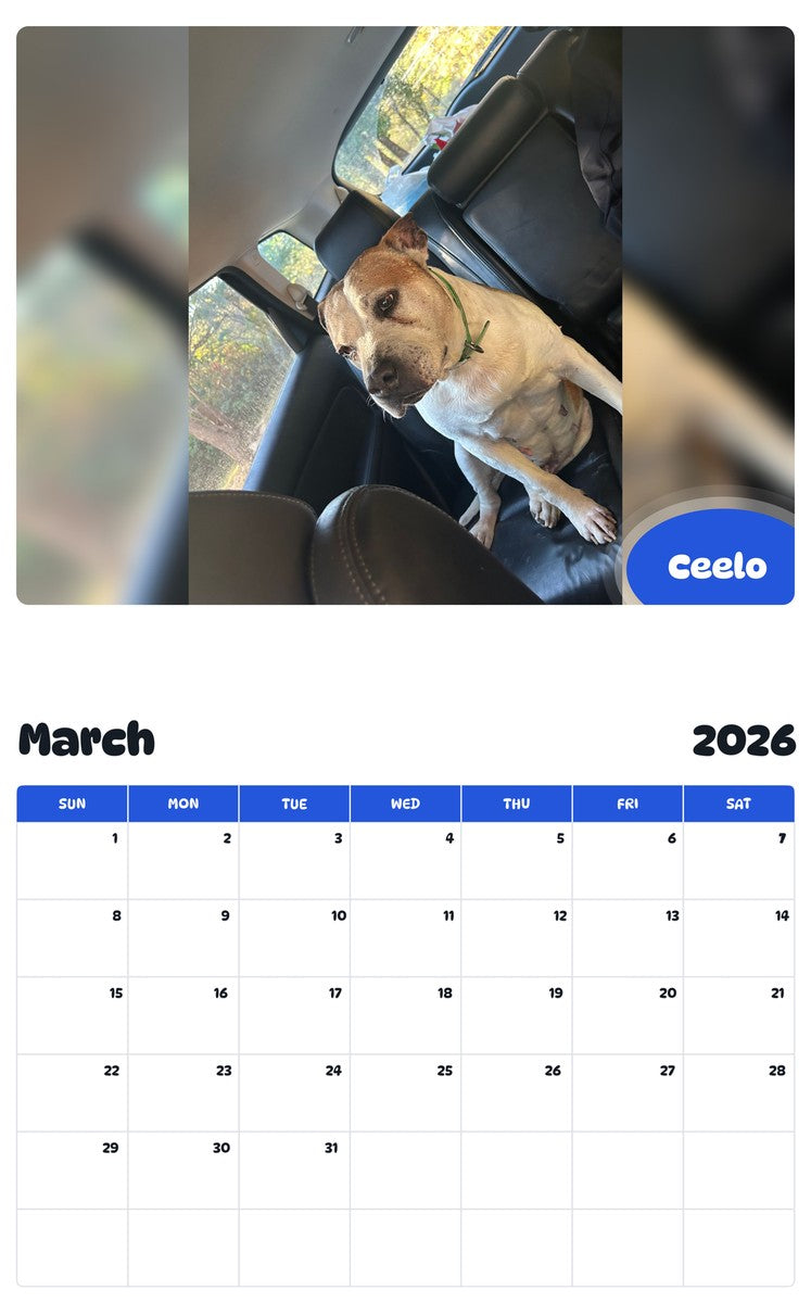 November 2025 - October 2026 Ceelo - Pawidols Pet Calendar