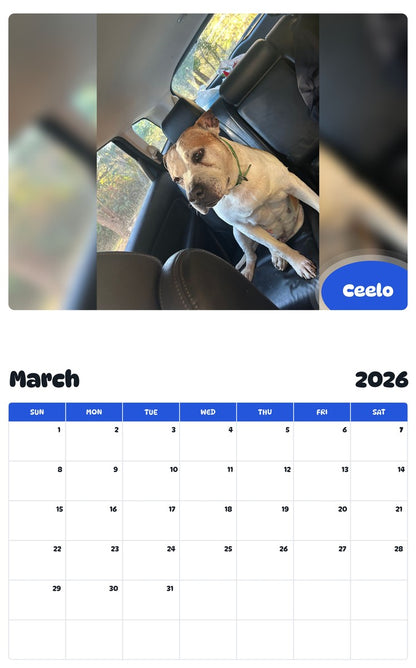November 2025 - October 2026 Ceelo - Pawidols Pet Calendar