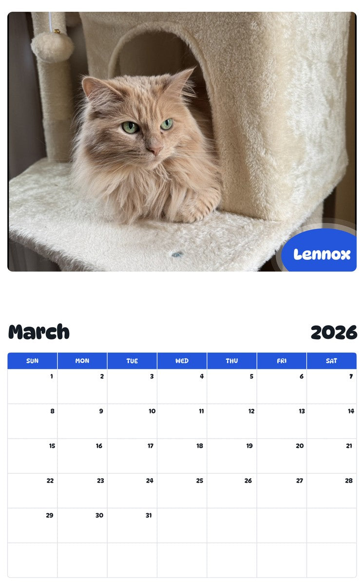 November 2025 - October 2026 Lennox - Pawidols Pet Calendar