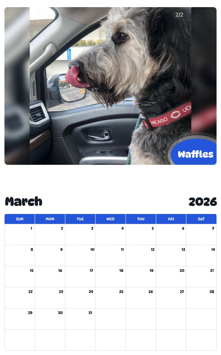 November 2025 - October 2026 Waffles - Pawidols Pet Calendar