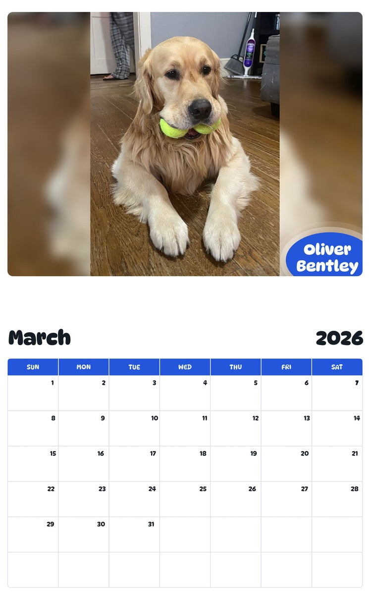 November 2025 - October 2026 Oliver Bentley - Pawidols Pet Calendar
