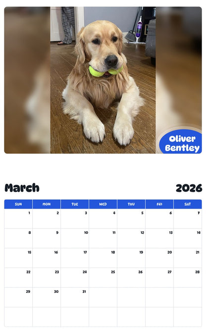 November 2025 - October 2026 Oliver Bentley - Pawidols Pet Calendar