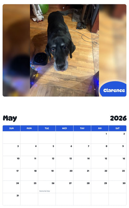 2026 - 2027 Clarence - Pawidols Pet Calendar