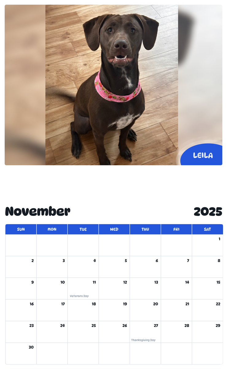July 2025 - June 2026 Leila - Pawidols Pet Calendar