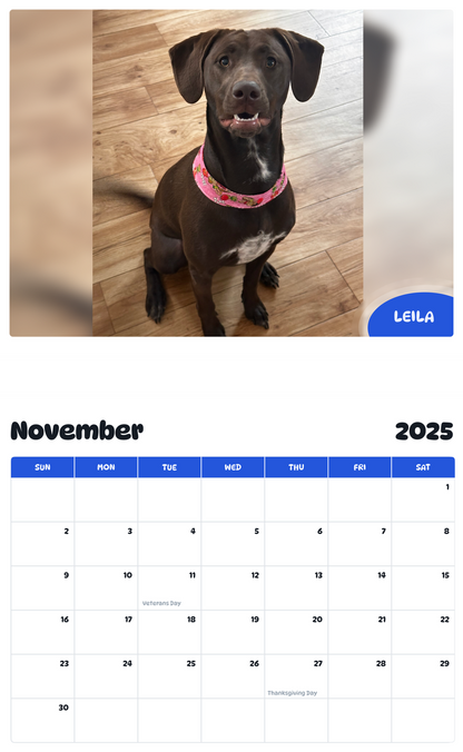 July 2025 - June 2026 Leila - Pawidols Pet Calendar